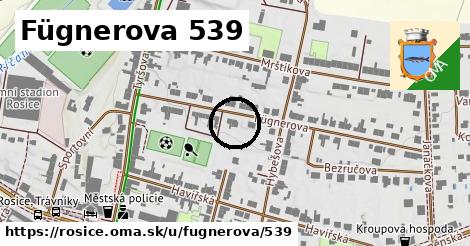 Fügnerova 539, Rosice