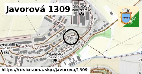Javorová 1309, Rosice