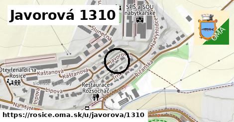 Javorová 1310, Rosice
