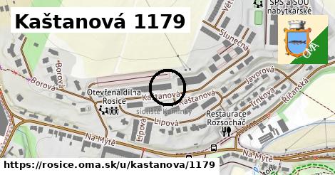 Kaštanová 1179, Rosice