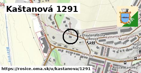 Kaštanová 1291, Rosice