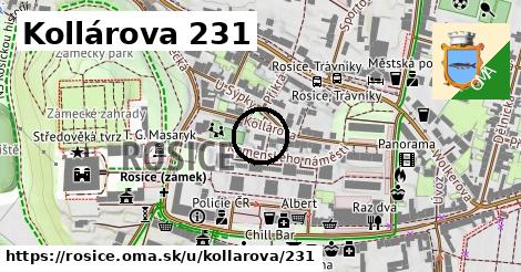 Kollárova 231, Rosice