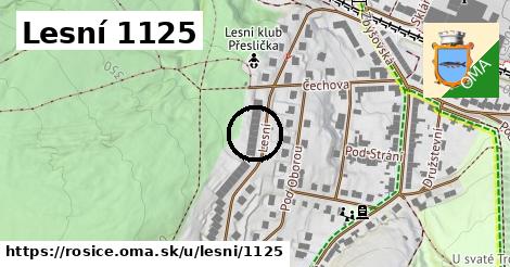 Lesní 1125, Rosice