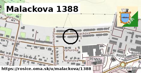 Malackova 1388, Rosice