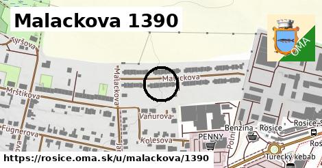 Malackova 1390, Rosice