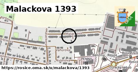 Malackova 1393, Rosice
