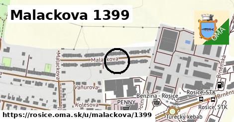 Malackova 1399, Rosice