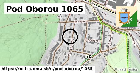 Pod Oborou 1065, Rosice