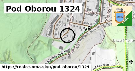 Pod Oborou 1324, Rosice