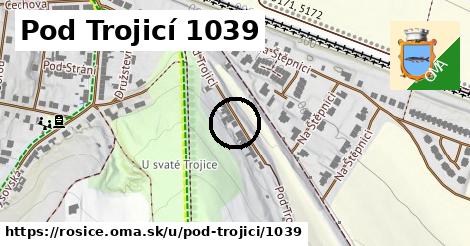 Pod Trojicí 1039, Rosice