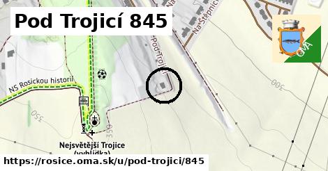 Pod Trojicí 845, Rosice