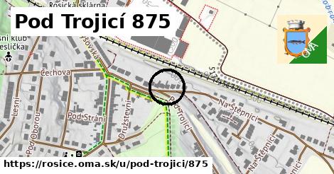 Pod Trojicí 875, Rosice