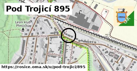 Pod Trojicí 895, Rosice