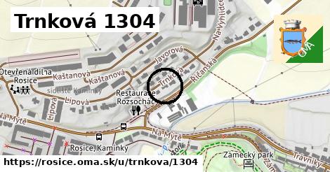 Trnková 1304, Rosice