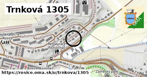 Trnková 1305, Rosice