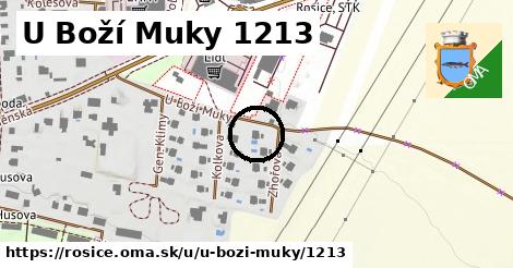 U Boží Muky 1213, Rosice