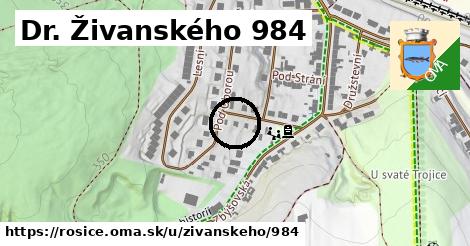 Dr. Živanského 984, Rosice