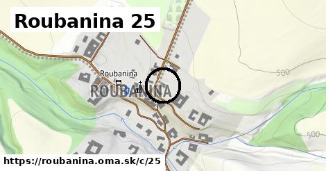 Roubanina <span class="supisne">25</span>