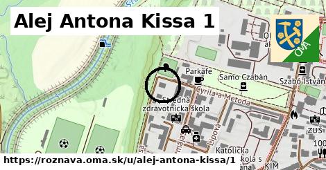 Alej Antona Kissa 1, Rožňava