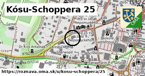 Kósu-Schoppera 25, Rožňava