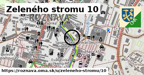 Zeleného stromu 10, Rožňava