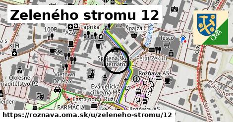 Zeleného stromu 12, Rožňava