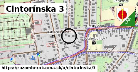 Cintorínska 3, Ružomberok