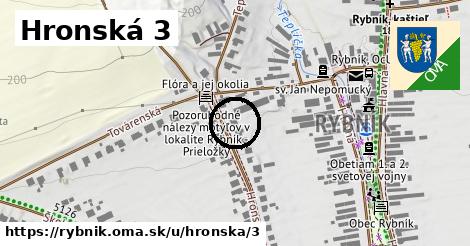 Hronská 3, Rybník