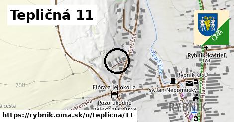 Tepličná 11, Rybník