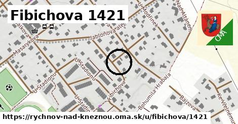 Fibichova 1421, Rychnov nad Kněžnou