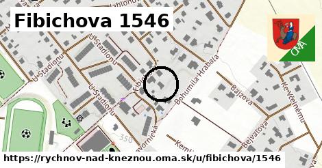 Fibichova 1546, Rychnov nad Kněžnou