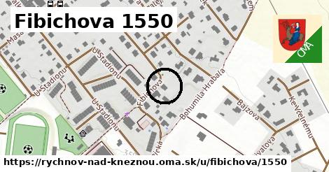 Fibichova 1550, Rychnov nad Kněžnou