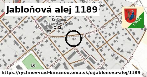 Jabloňová alej 1189, Rychnov nad Kněžnou