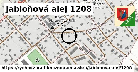 Jabloňová alej 1208, Rychnov nad Kněžnou