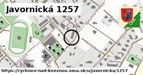 Javornická 1257, Rychnov nad Kněžnou