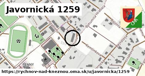 Javornická 1259, Rychnov nad Kněžnou