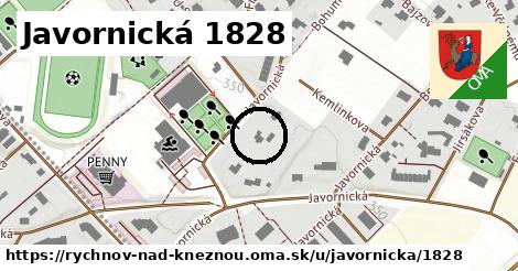 Javornická 1828, Rychnov nad Kněžnou