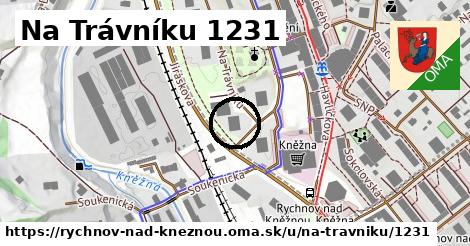 Na Trávníku 1231, Rychnov nad Kněžnou