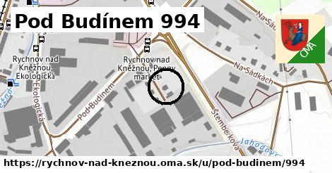 Pod Budínem 994, Rychnov nad Kněžnou