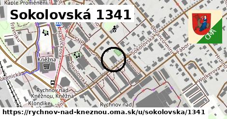 Sokolovská 1341, Rychnov nad Kněžnou