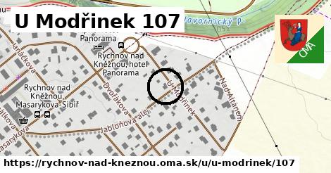 U Modřinek 107, Rychnov nad Kněžnou