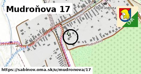 Mudroňova 17, Sabinov