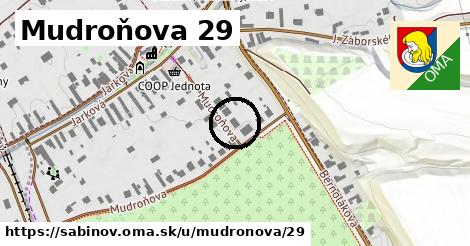 Mudroňova 29, Sabinov