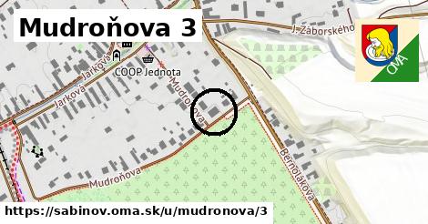 Mudroňova 3, Sabinov