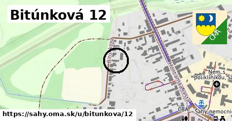 Bitúnková 12, Šahy