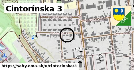Cintorínska 3, Šahy