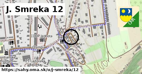 J. Smreka 12, Šahy