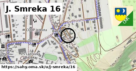 J. Smreka 16, Šahy