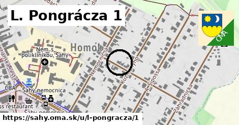 L. Pongrácza 1, Šahy