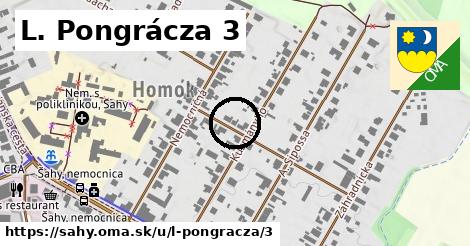 L. Pongrácza 3, Šahy